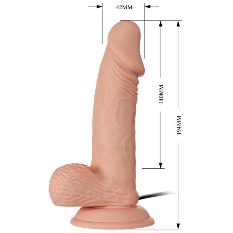 BAILE - BEAUTIFUL ENCOUNTER ZEBULON VIBRACIÓN 19.4 CM NATURAL - immagine 6