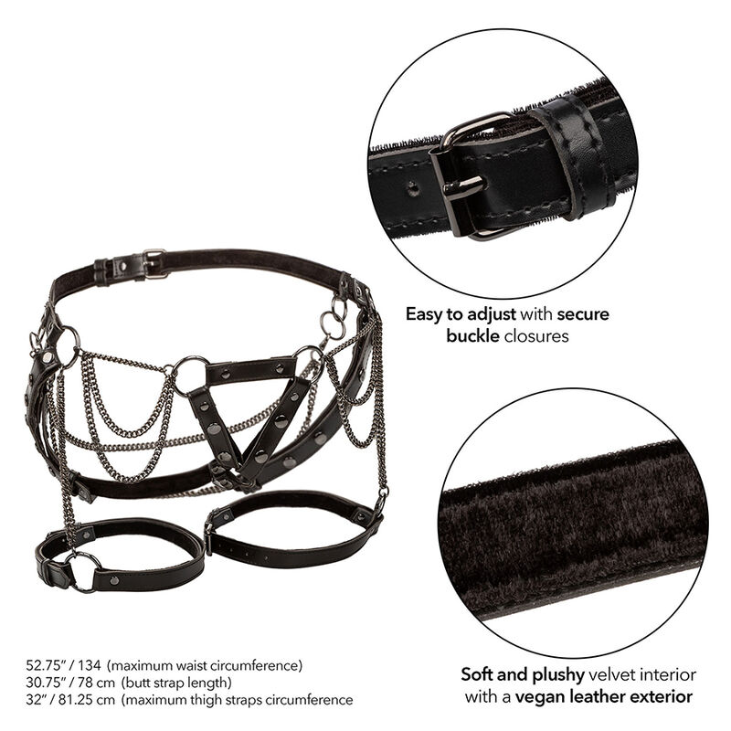 CALEXOTICS - EUPHORIA ARNÉS DE MUSLO CON CADENAS PREMIUM TALLA PLUS - immagine 3