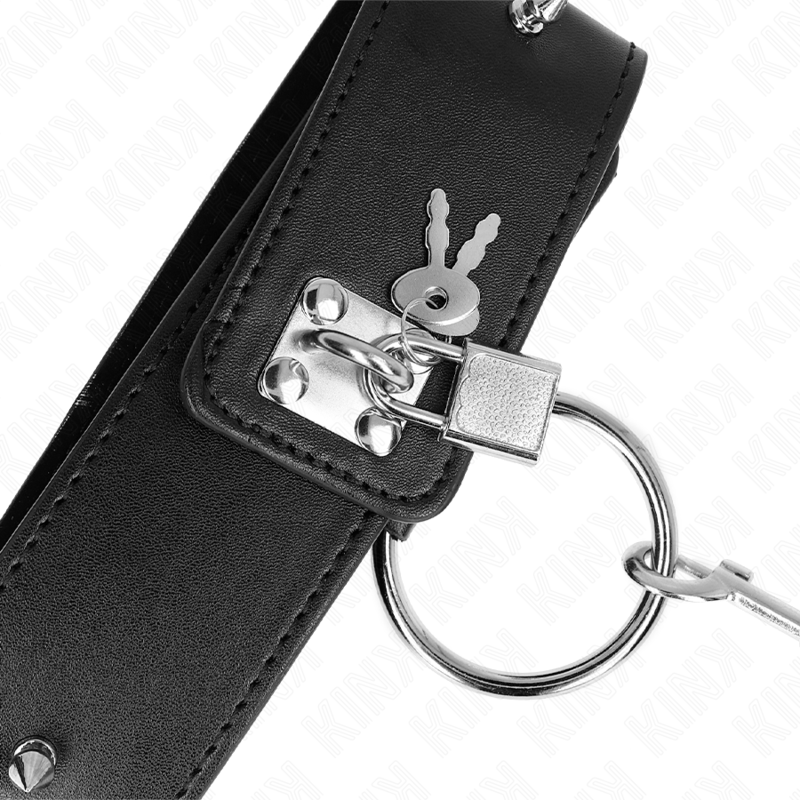 KINK - COLLAR CON CORREA 65 CM CON TACHUELAS PLATEADAS MODELO 2 AJUSTABLE 36-43 CM X 5 CM - immagine 2