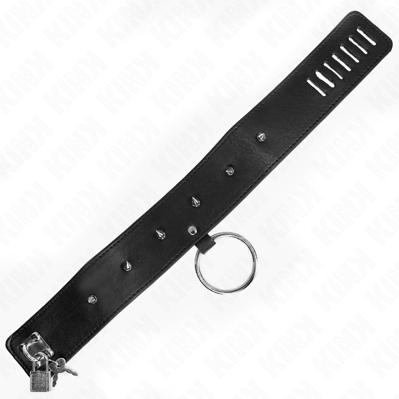 KINK - COLLAR CON CORREA 65 CM CON TACHUELAS PLATEADAS MODELO 2 AJUSTABLE 36-43 CM X 5 CM - immagine 3