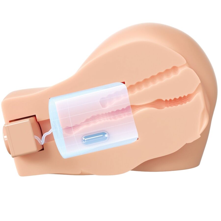 PDX ELITE - BACK THAT ASS UP MASTURBADOR VAGINA Y ANO REALÍSTICO CON VIBRACIÓN - immagine 2