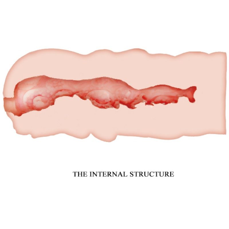 CRAZY BULL - MASTURBATORE ISABEL VAGINA 13.5 CM - immagine 4