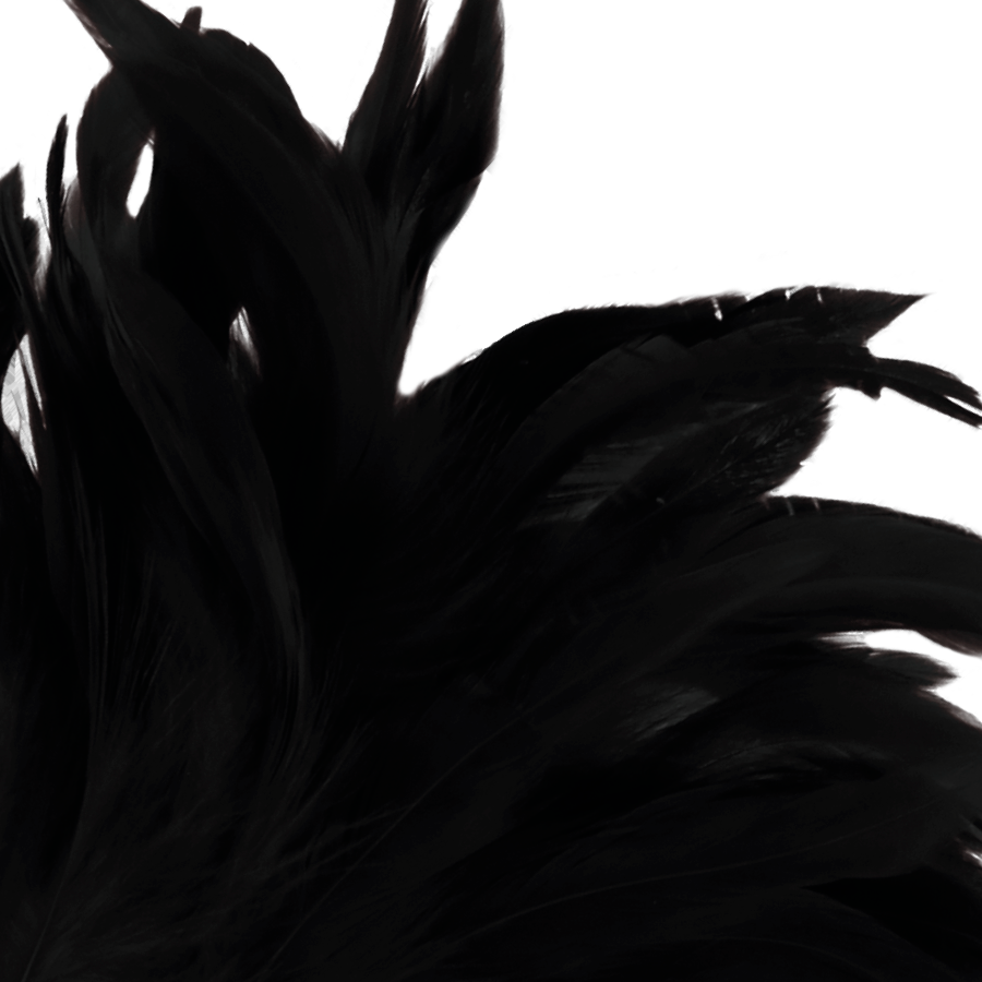 DARKNESS - PENNA STIMOLANTE LUX NERA - immagine 2