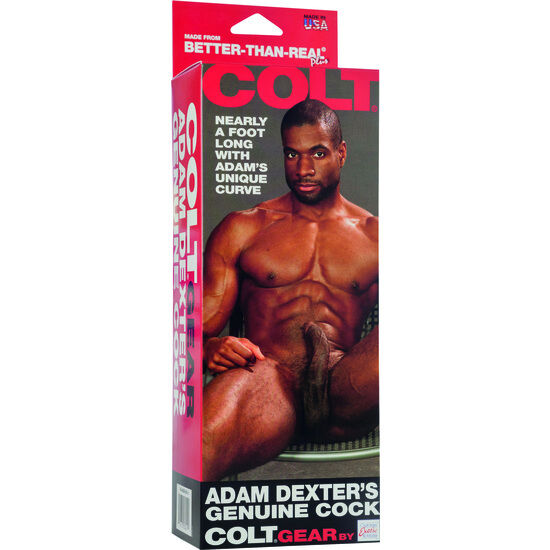 CALEXOTICS - COLT PENE REALÍSTICO ADAM DEXTER - immagine 2